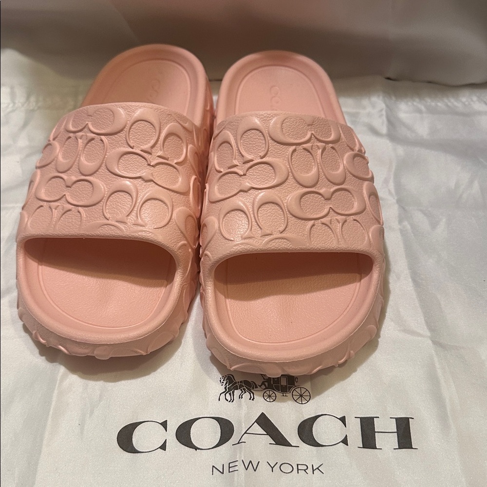 Coach pink slides